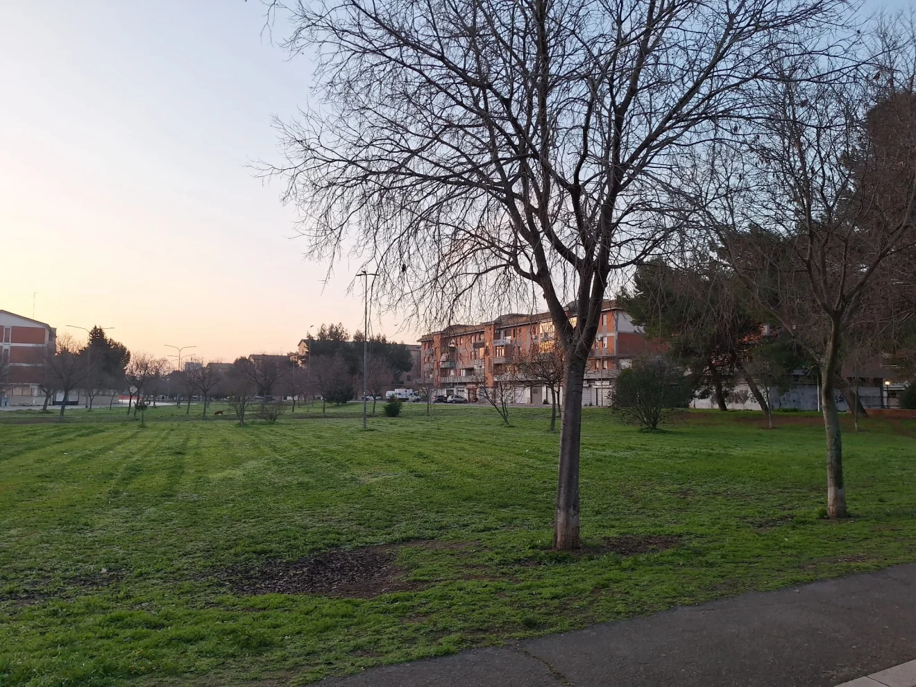 Foggia: futuro del Parchetto San Lorenzo